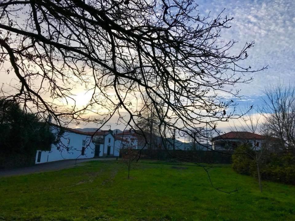 Quinta Santo Antonio Da Pedreira Guest House Facha Exterior photo